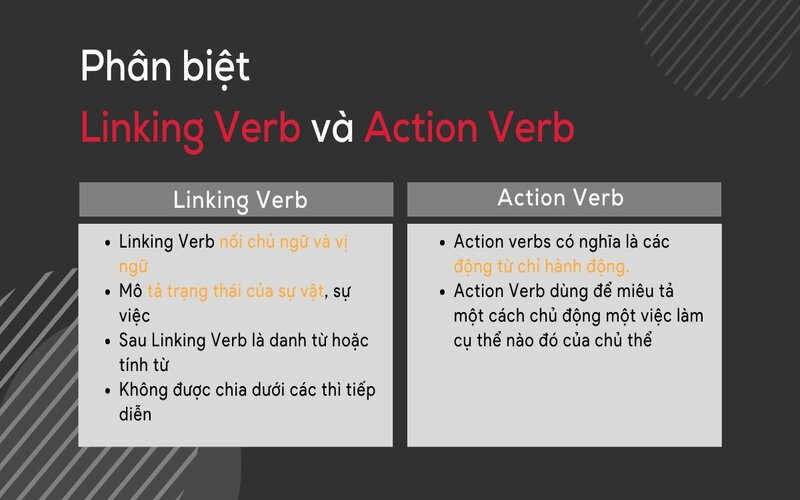 Phân biệt Action Verbs và Linking Verbs