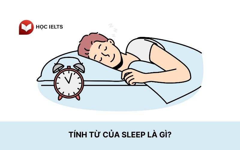Tính từ của sleep là gì?